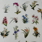 Collection of various floral stickers on a white background