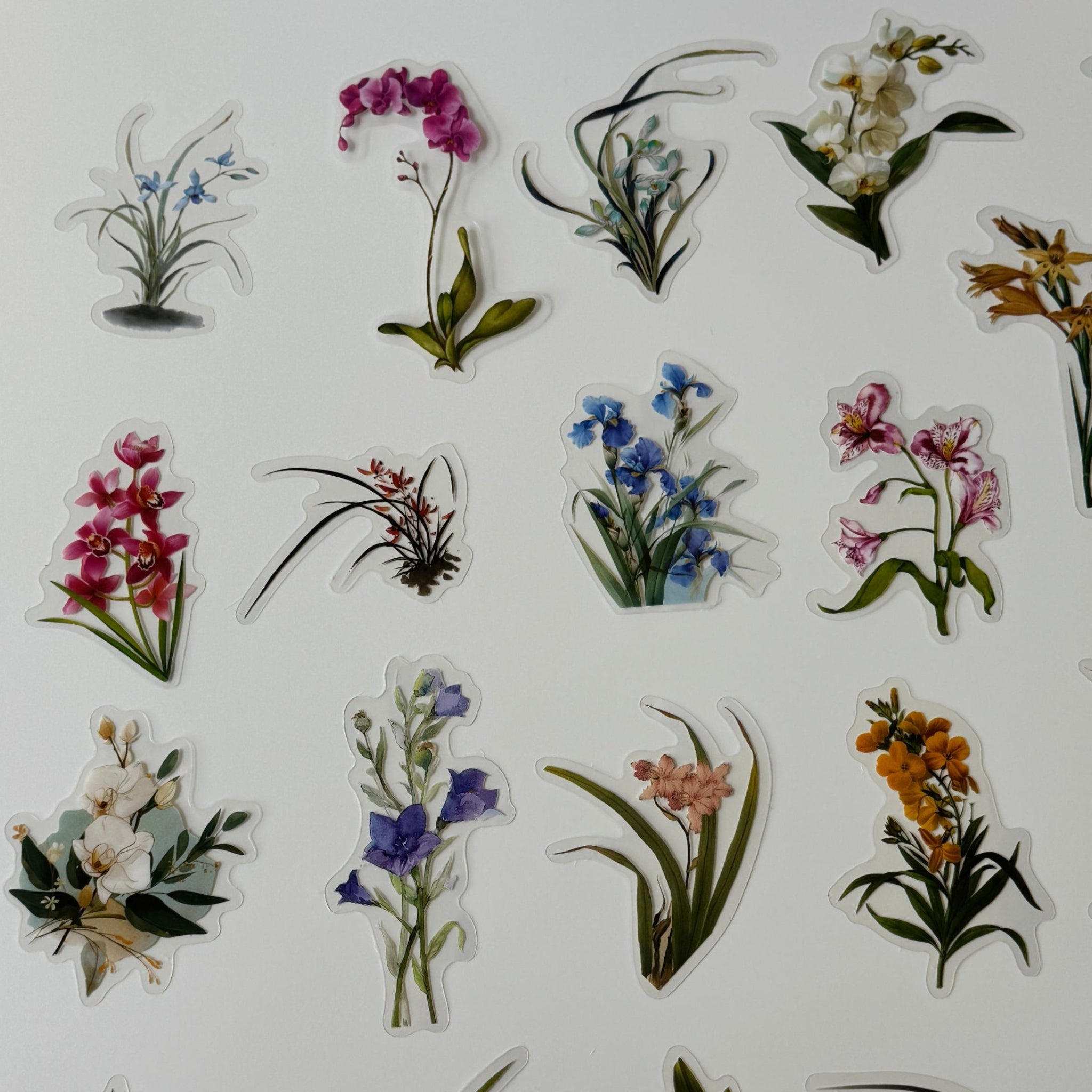 Collection of transparent stickers with various floral designs on a white background