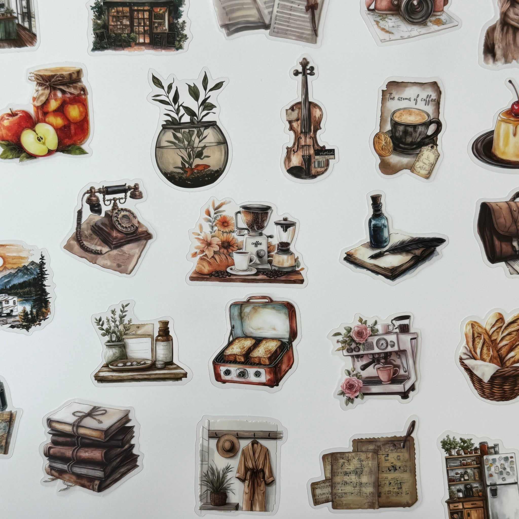 Collection of vintage-style illustrations on a white background